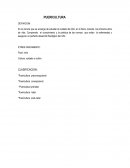 PUERICULTURA PRECONCEPCIONAL