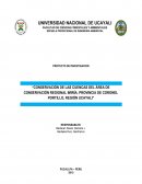 Conservación de las cuencas del área de conservación regional Imiría