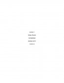 OBJETIVO DEL CONTROL: Diferenciar los usuarios de la información contable.