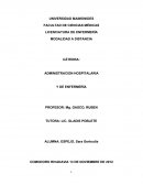 Marco Conceptual de las Normas de Enfermería