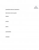 APUNTES ENSAYO CUESTIONARIOS