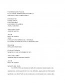 EL MANEJO DE CONFLICTO EN LA ORGANIZACIÓN