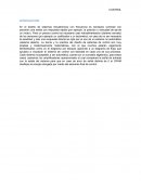 Dinamica de Sistemas UN1 INTRODUCCIÓN