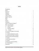 El plátano se ha convertido en un producto altamente demandado a lo largo de la Cadena agroalimentaria