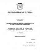 Factores culturales que propician la modificacion de los platillos tipicos en el puerto de Veracruz