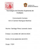 Ensayo de película piratas del valle de Silicon