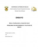 Problemas sociales y economicos a partir del neoliberalismo