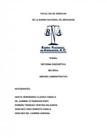 REFORMA ENERGÉTICA, ANTECEDENTES HISTÓRICOS. Página 1
