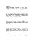 Las organizaciones comprenden el establecimiento de una estructura intencional