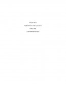 Proyecto final de fundamentos de redes y seguridad