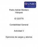 Ejercicios de cargos y abonos