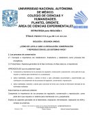 PRODUCTO el gas DE LAS ALGAS