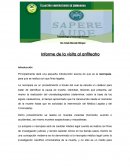 Informe visita anfiteatro
