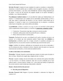 Delito penal Guía Teoría General del Proceso