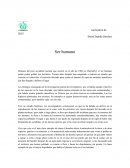 Despues del accidente nuclear en Chernobyl