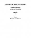 Mi agenda de actividades