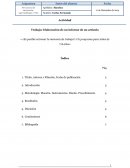 Elaboración de un informe de un artículo