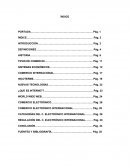 Comercio Electronico Internacional