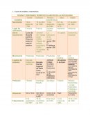 TEORIA Y ENFOQUES TEORICOS CLASICOS DE LA SOCIOLOGIA