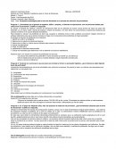 Ejeplo de la Aportación inicial del foro