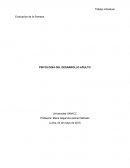 Psicología del desarrollo adulto