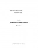 Factores que afectan el desarrollo organizacional