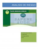 Analisis de riesgo. Sistemas de seguridad y alarmas