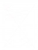 Hombre como agente modificador del ambiente y la importancia de la acción humana para la preservación del mismo