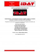 Implementación y comercialización de polos en algodón orgánico con diseños culturales con destino al mercado de Rio Janeiro Brasil