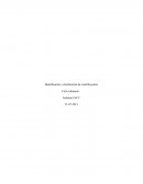 Dentificación y clasificación de contribuyentes .Ciclo tributario