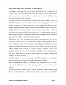 Cinco ideas falsas sobre la cultura - Esteban Krozt