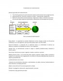 Fundamentos de la administración Nociones generales de la administración