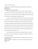 Ejemplos de Tipos de informes