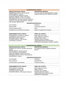 Resumen Descripcion del puesto