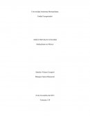 Análisis Marxista de la Sociedad Sindicalismo en México