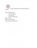 La economía a nivel familiar, nivel local, nivel regional y nivel nacional.