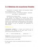 SISTEMAS DE ECUCACIONES LINEALES