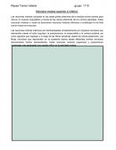 Neurona motora superior e inferior.