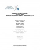 DISEÑO DE UN MODELO DE NEGOCIO DE TIPO SPS