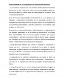 Responsanbilidad de los organizadores de espectaculos deportivos