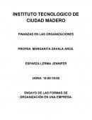 ENsaYO: FORMAS DE ORGANIZACIÓN DE LAS EMPRESAS