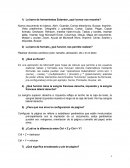 Cuestionario de Exel