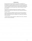 Alcohol y conducciòn