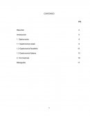 GASTRONOMÍA ISRAELÍ