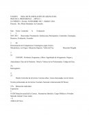 EJEMPLO DE HOJA DE PLANIFICACIÓN DE ASIGNATURA