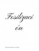 Biología práctica: Fosilización