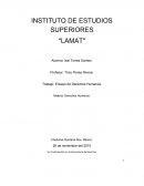 Ensayo de los Derechos Humanos en Latino América