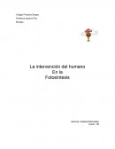 Efectos de la intervención humana en la fotosíntesis