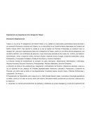 Departamento de Capacitación de la Delegación Tlalpan