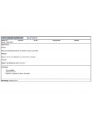 Itinerario de Programación Baloncesto